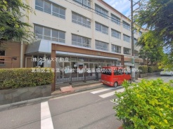 葛飾区東堀切２丁目