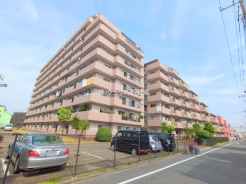 葛飾区水元2丁目